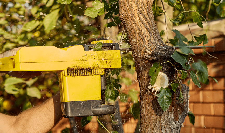 Alvarado Tree Service